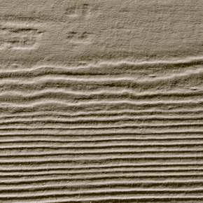 James Hardie's ColorPlus Durable Finish is Perfect for Knoxville Homes.